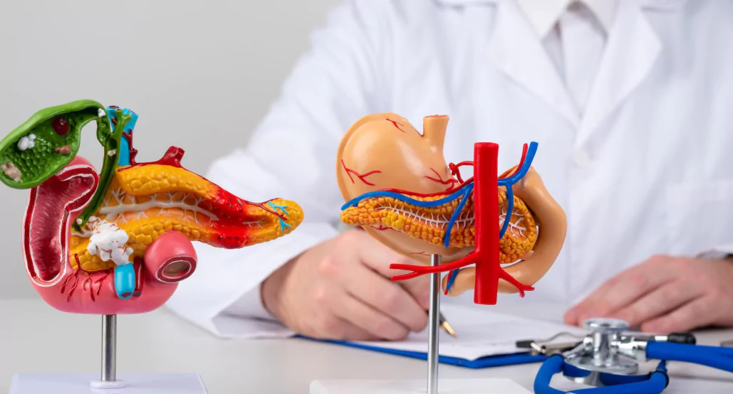 Does Alcohol Make Gallbladder Pain Worse? Reframe App